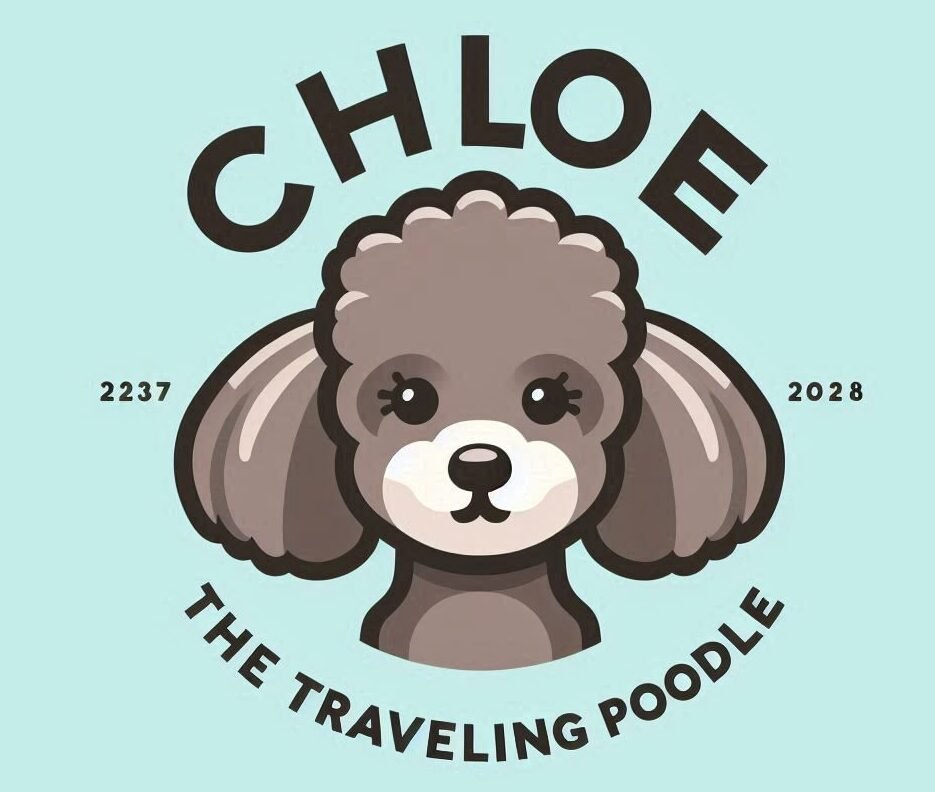 Chloe, la caniche viajera